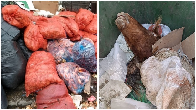 В Новосибирске жители нашли в мусорных баках отрубленные головы