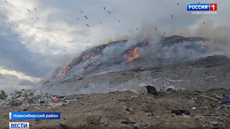 В Новосибирске рассказали о причинах распространения огня на мусорном полигоне