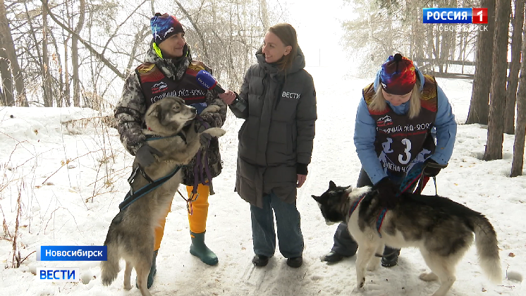 Сезон каникросса в Новосибирске завершился гонками на выбывание