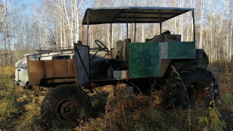 Двое новосибирцев предстанут перед судом за незаконное убийство лося