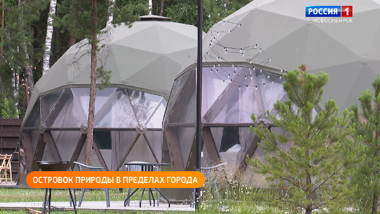 Полезная передача: отмечаем День шоколада, едем в глэмпинг