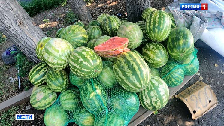 В Новосибирске у нелегальных продавцов на обочине забрали фрукты