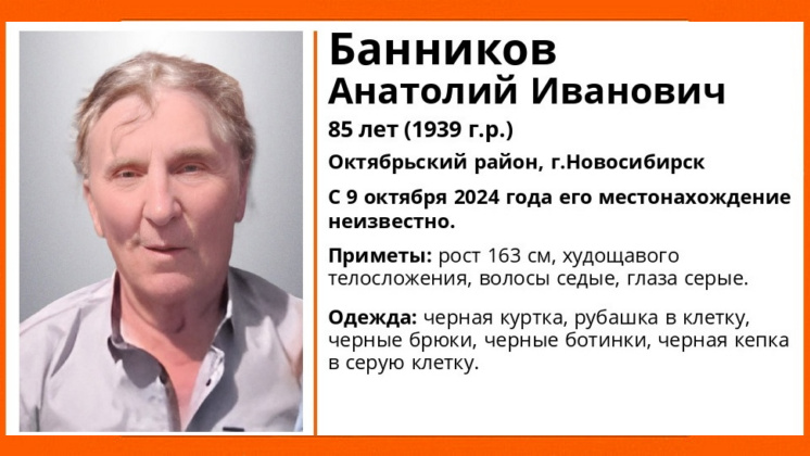 В Новосибирске без вести пропал 85-летний мужчина в клетчатой кепке