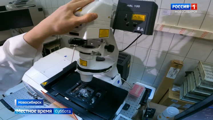 Новосибирские ученые совершили прорыв в лечении рака шейки матки