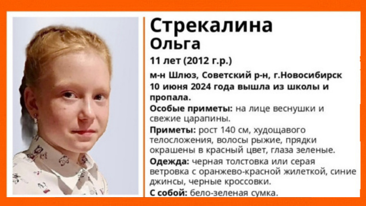 В Новосибирске завершили поиски 11-летней рыжеволосой девочки с красными прядями