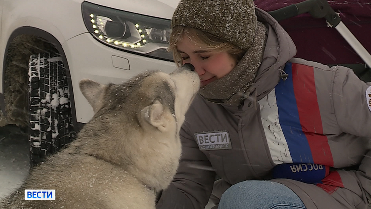 Под Новосибирском прошли праздничные гонки на собачьих упряжках
