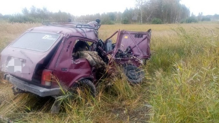 В Новосибирской области в трех авариях погибли четыре человека