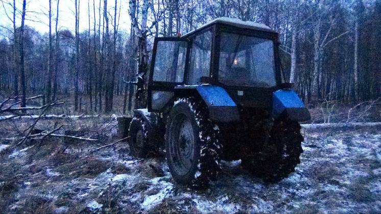 Новосибирца оштрафовали на полмиллиона рублей за незаконную рубку деревьев