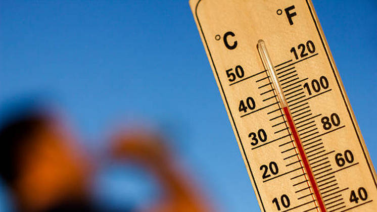 В Новосибирской области объявили экстренное предупреждение из-за жары до +30°