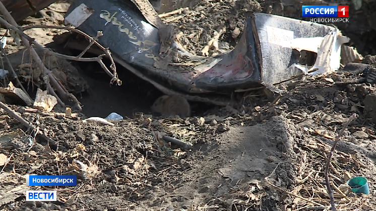 Жители Новосибирска пожаловались на крысиные гнёзда рядом с домами