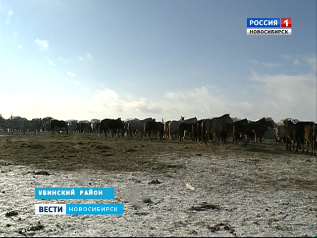 В Новосибирской области начали выводить деревни из состава заказников