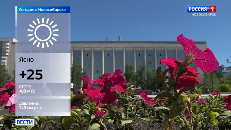 Когда установится тепло в Новосибирске? Синоптики дали прогноз