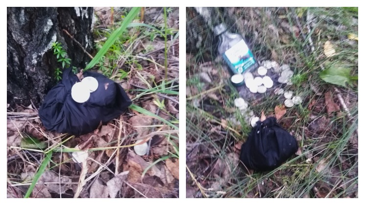 Под Новосибирском грибника напугали странные мешочки с монетами под деревьями