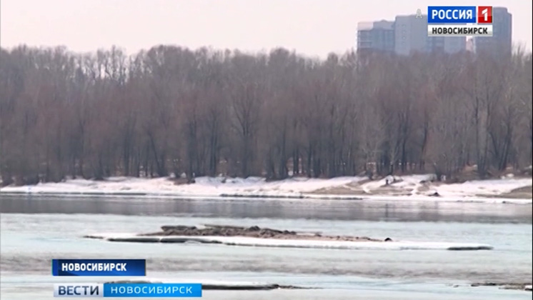 В Новосибирске регистрируют пик первой волны половодья