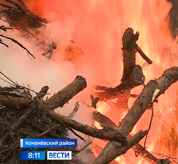 Специалисты сжигают срубленные части деревьев