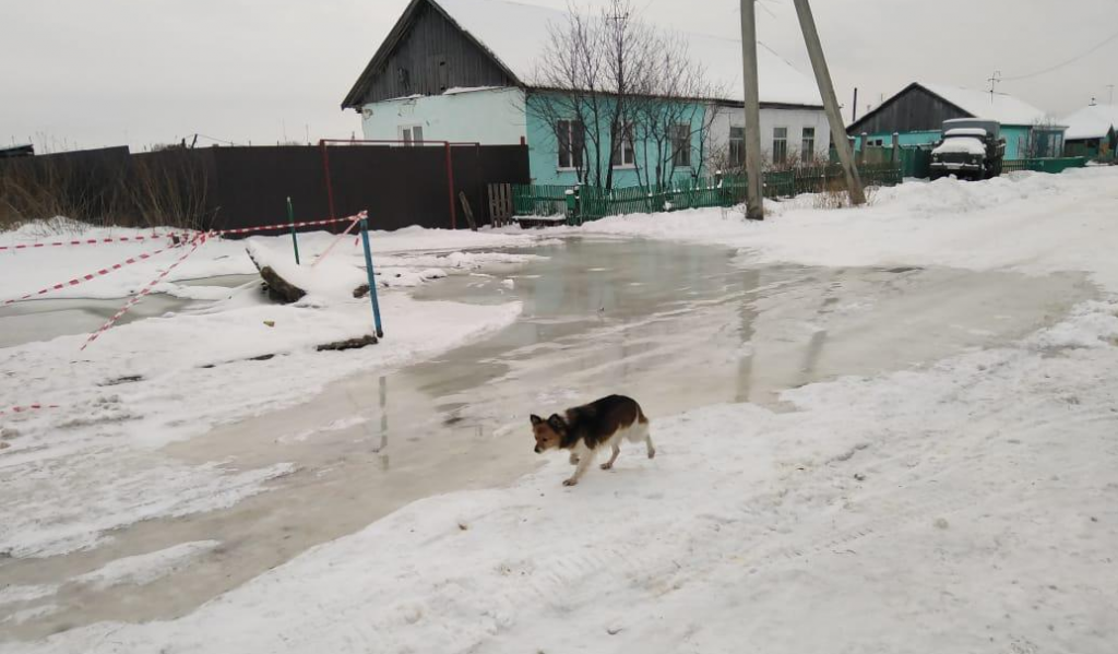 Село новосибирское. Холодное село Новосибирск. Село Новосибирское Сахалинская область. Село Устименки. Село в Новосибирской области с газом.