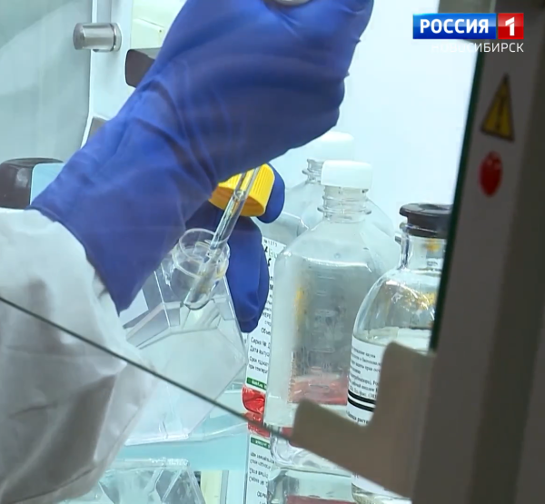 Лаборатория Лаборатория