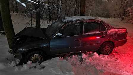 В Новосибирске водитель Toyota потерял управление и влетел в дерево