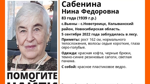 В Новосибирской области 83-летняя бабушка пошла в лес по грибы и пропала
