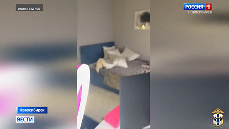 В Новосибирске задержали организаторов порностудии