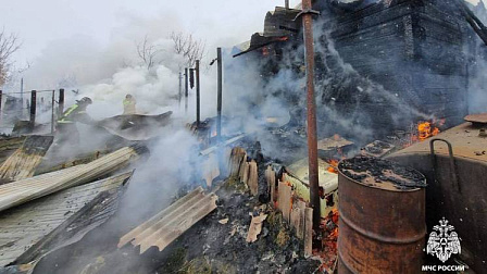 В Новосибирской области из-за хлопка газа пострадала хозяйка частного дома