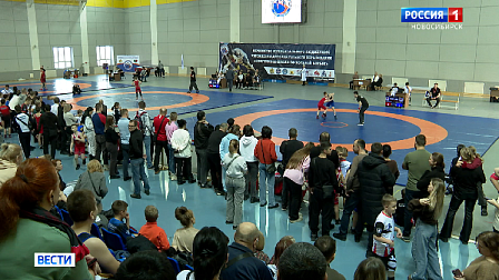 Лучшие юные борцы региона собрались на соревнованиях в Новосибирске