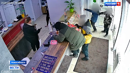 Полиция пресекла деятельность подростковой группы хулиганов в Новосибирске