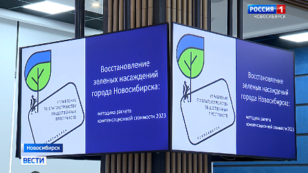 В Новосибирске застройщикам подняли тариф компенсации за снос деревьев