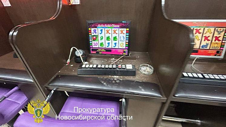 В Новосибирске задержали третью соучастницу организации казино на улице Никитина