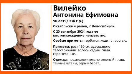 В Новосибирске без вести пропала 90-летняя горбатая бабушка с тростью