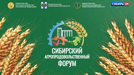 Сибирский агропромышленный форум в Новосибирске собрал десятки тысяч гостей