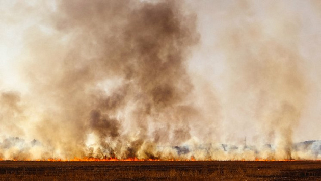Вымогатели из Омска сожгли все посевы у бизнесмена в Новосибирской области