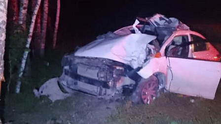 Под Новосибирском автомобилист погиб после столкновения с лосем и деревом