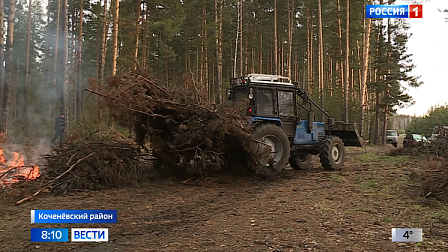 В Новосибирской области работы по очистке лесосек вышли на финишную прямую