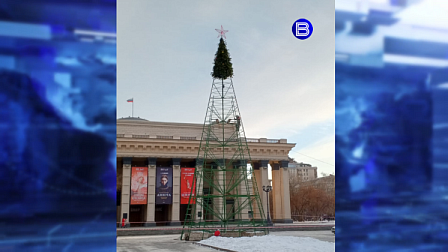 В Новосибирске начали устанавливать главную новогоднюю елку