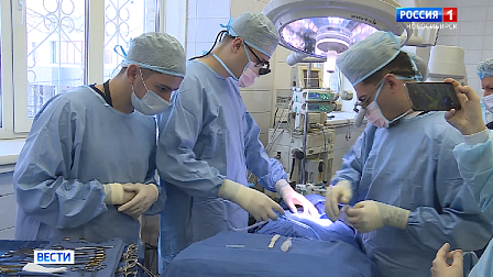 Кролики помогают новосибирским учёным в разработке новейших имплантов