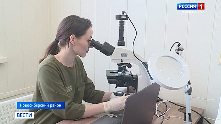 Уникальный способ диагностики и защиты растений разработали новосибирские учёные