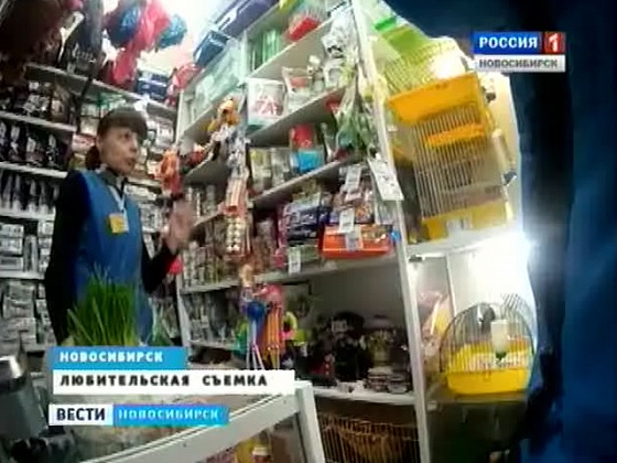 Проверка новосибирск. Зоомагазин в Черепаново Новосибирская область. Россельхознадзор проверки Оргполимерсинтез. Проверка Россельхознадзора что проверяют в магазине зоотоваров. Зоомагазин в Новосибирской области в городе Чулыме.