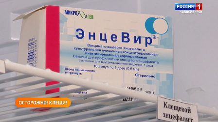 Полезная передача: прививаемся от клещевого энцефалита, проверяем слух