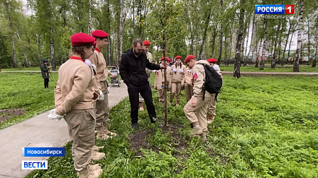 Новый сад памяти высадили в сквере Героев Донбасса в Новосибирске