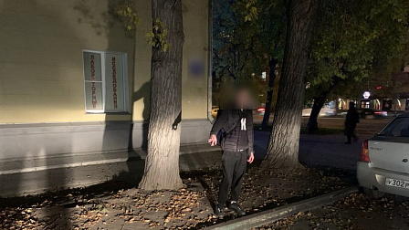 В Новосибирске двух братьев похитили и затолкали в багажник ради 20 тысяч рублей