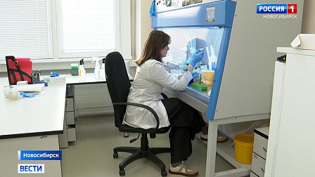 В Новосибирске создают пробиотик для животных из чешуи ракообразных