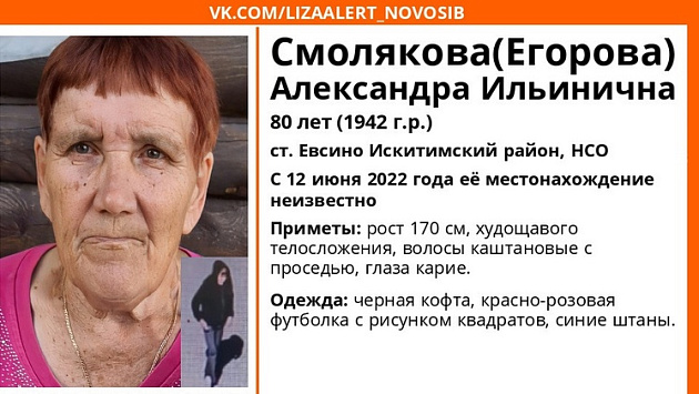 В Искитимском районе Новосибирской области пропала 80-летняя пенсионерка