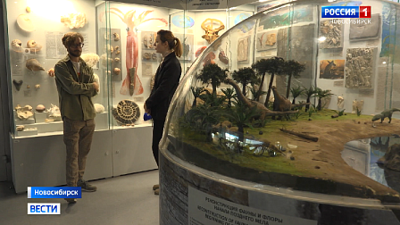 Учёные Новосибирска представили находки мезозойской эры из Забайкалья