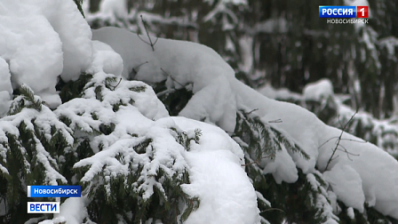 Новый режим работы платных парковок действует в Новосибирске с 27 декабря