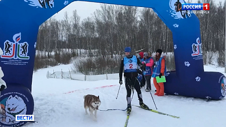 Под Новосибирском прошли региональные соревнования по ездовому спорту