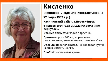 В Новосибирске завершили поиски 72-летней бабушки с тростью