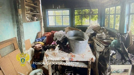 17-летний новосибирец попытался сжечь дом с женщинами и двумя детьми