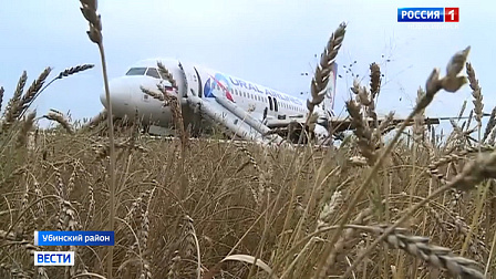 Экстренно севший в новосибирском поле самолет Airbus A320 разрежут и выбросят