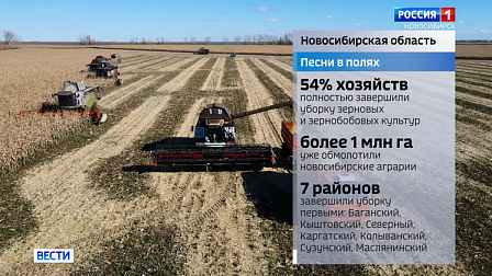 Кино о земляках и щука на восемь килограммов: обзор событий в Новосибирской области